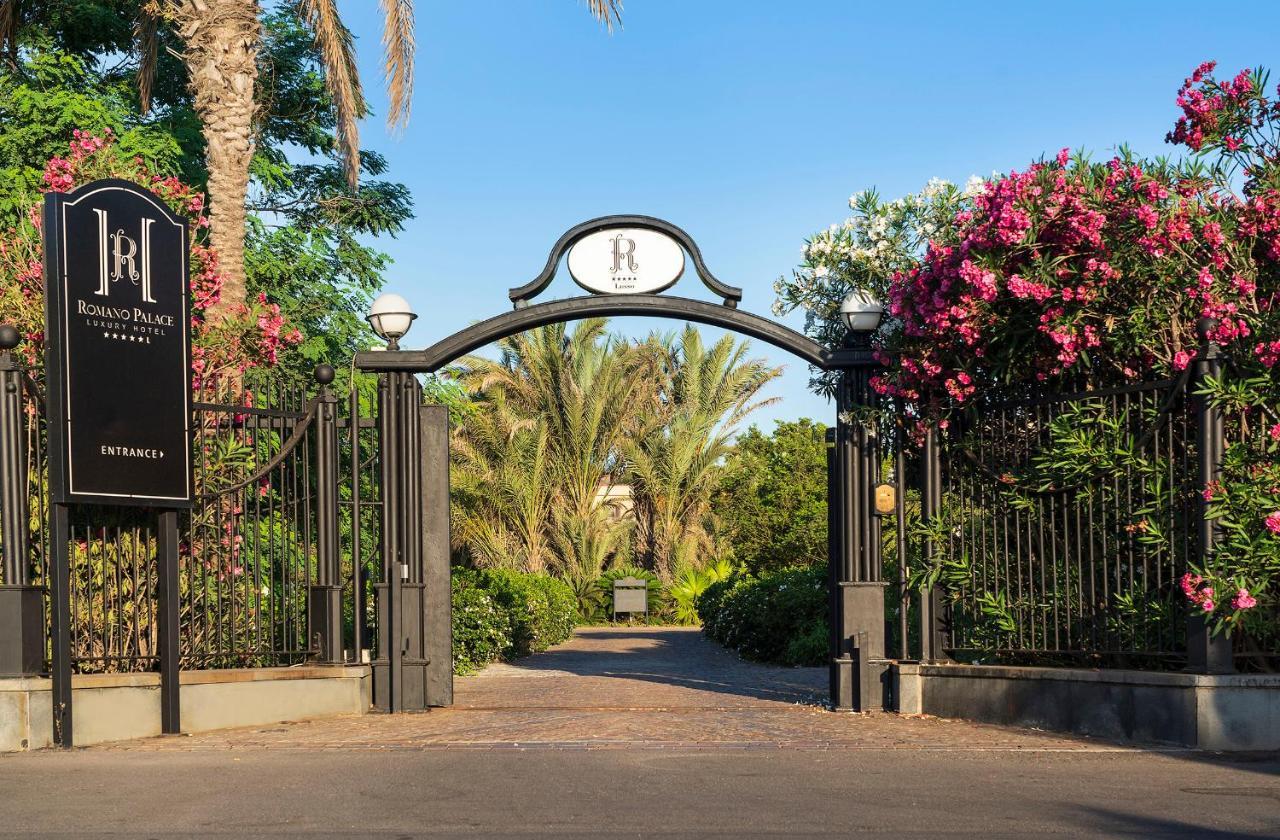 Palace Luxury