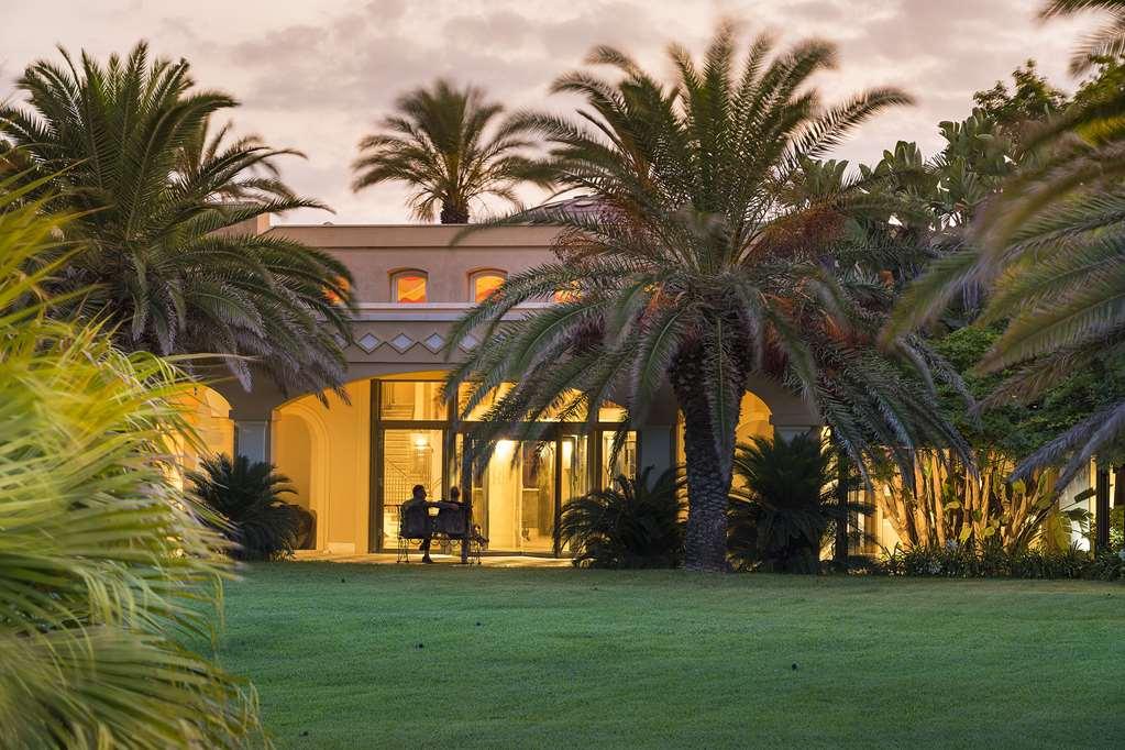 Palace Luxury